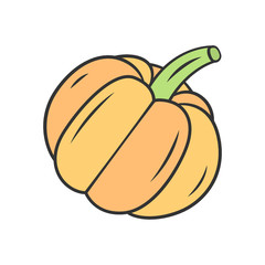 Pumpkin color icon