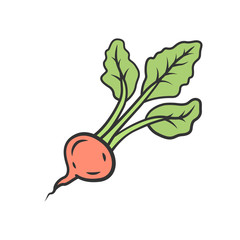 Radish color icon