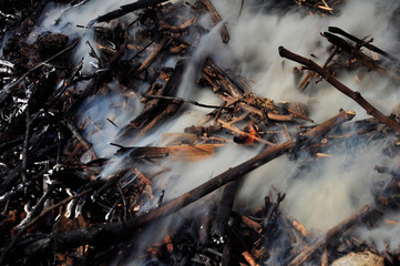 smoke from the fire. Extinguished bonfire. Small twigs in the smoke