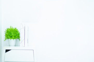 Small white flower pots and small green trees in the room.Copy space.Do not focus on the main object of this image.