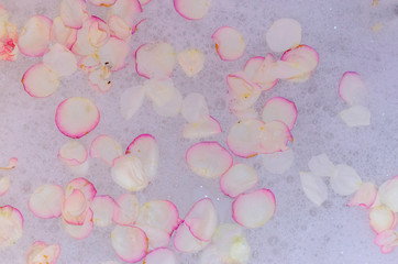 rose petals in soapy water
