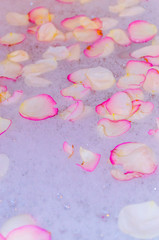 rose petals in soapy water