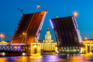 Fototapeta na wymiar Drawn Palace Bridge and Kunstkamera museum at white night, St. Petersburg, Russia