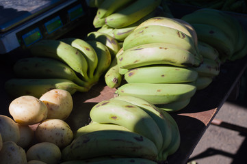 details of green banana for sale