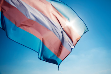 transgender pride flag waving on the blue sky - obrazy, fototapety, plakaty