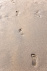 Fototapeta na wymiar drawings and footprints in the sand
