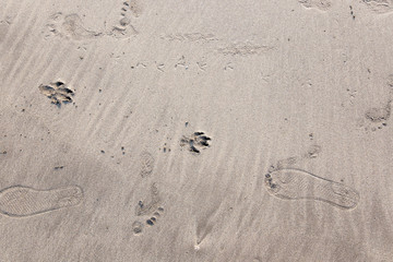 drawings and footprints in the sand