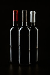 Wine bottle on a dark black background