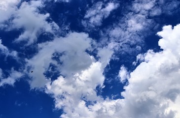 Beautiful white fluffy cloud formations on a deep blue sky