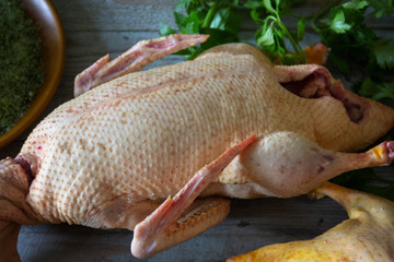 Plucked goose on a wooden table