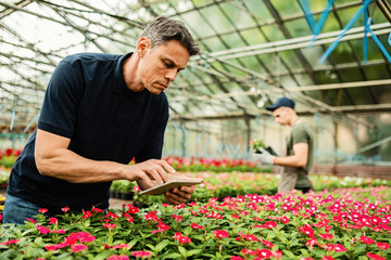 Male florist using digital tablet while working at plant nursery.