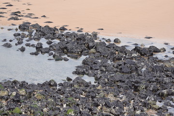 Rockpool on the beach