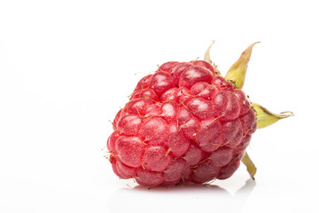 One ripe beautiful raspberry berry on a white background