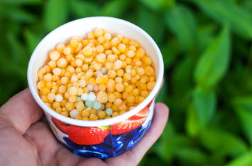 blur, ice cream mini melts small balls, multi-colored ice balls, summer concept, refreshment in...