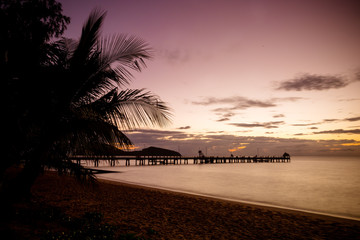 Fototapeta premium Palm Cove Sunrise