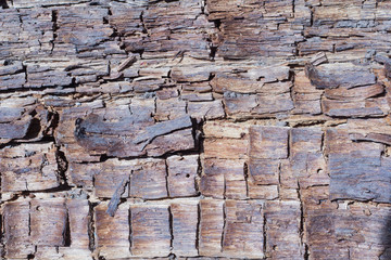 wooden background, texture of old rotten crushed wood