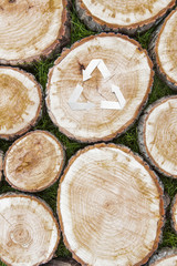 Background of tree stumps on the grass