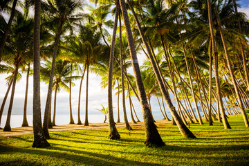 Palm Cove Beachfront