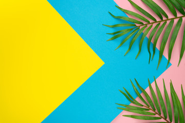 Tropical palm leaves on pastel yellow, blue, pink color background. Top view. Flat lay