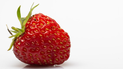 Beautiful ripe natural non-ideal shaped strawberries on a white background