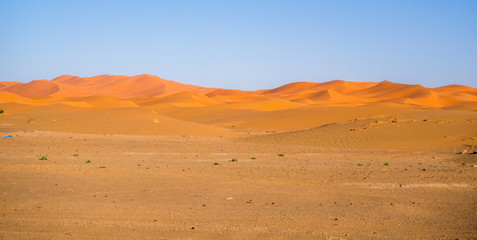 Sahara Desert, Erg Chebi dunes. Merzouga, Morocco