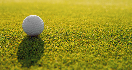 background of green grass