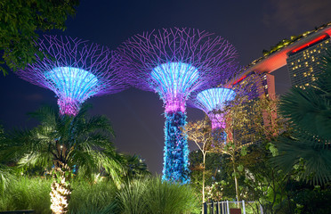 Gardens by the Bay at night in Singapore