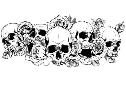 Outline Skull Images – Browse 43,541 Stock Photos, Vectors, And Video |  Adobe Stock