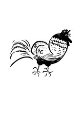 Funny cartoon rooster vector illustration