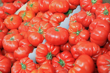 Frische Tomaten auf einem Markt in Catania. Italien
