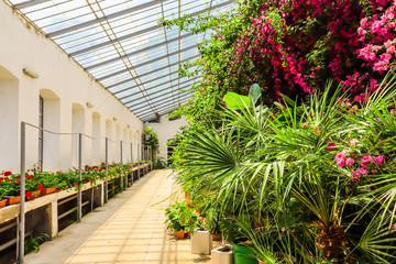 Fototapeta na wymiar Palace Evxinograd greenhouses. Varna, Bulgaria