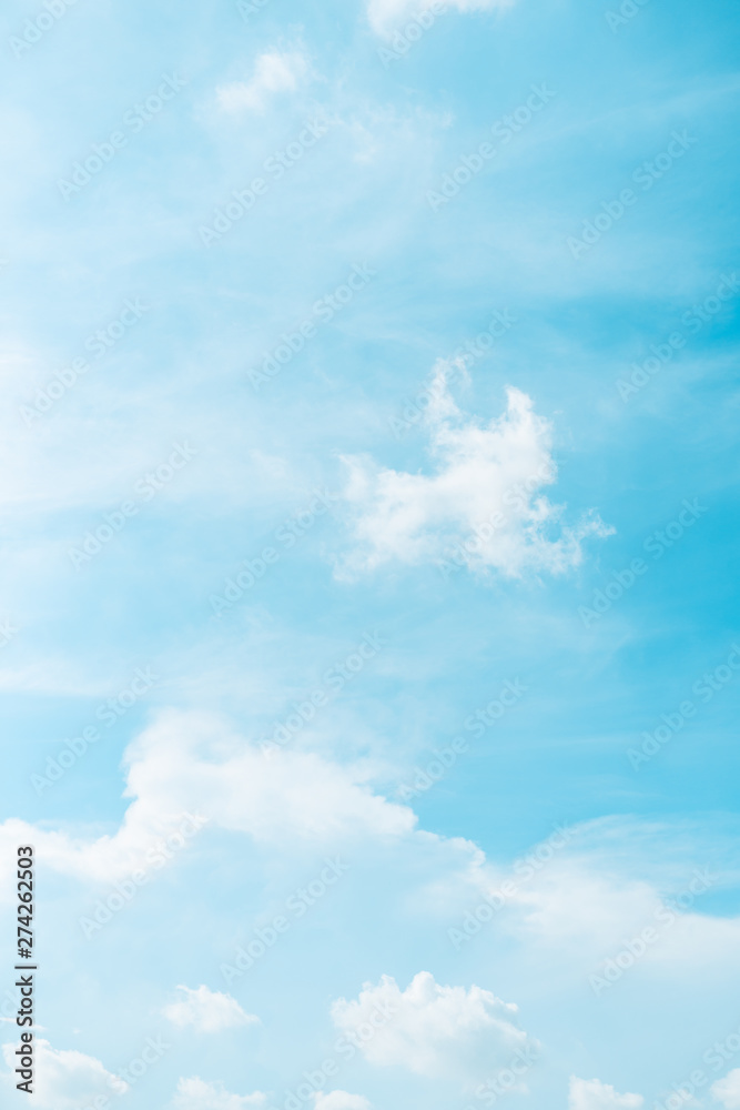 Canvas Prints web banner spring and summer season with beauty clear and bright sky and cloudy background with copy