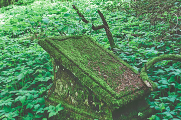 Kaputter Grabstein mit Beschädigungen auf einem Friedhof in grün