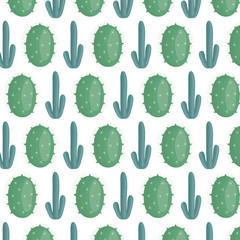 exotics cactus plants natural pattern