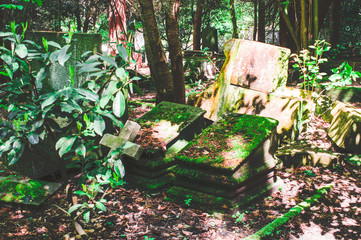 Kaputter Grabstein mit Beschädigungen auf einem Friedhof in grün