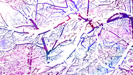 Winter landscape of snowy tree branches in abstract modern gradient background. Selective focus. Blurred.