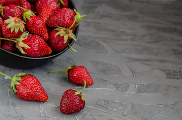 Fresh summer ripe strawberries in a black plate on a gray concrete background