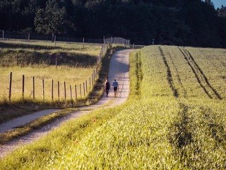 Image of couple walking next to cornfield