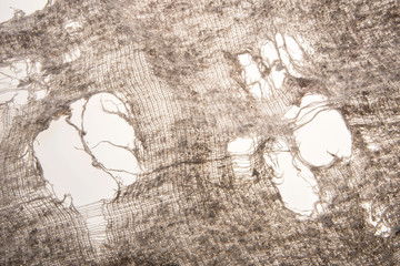 Closeup of tattered rag - backlit