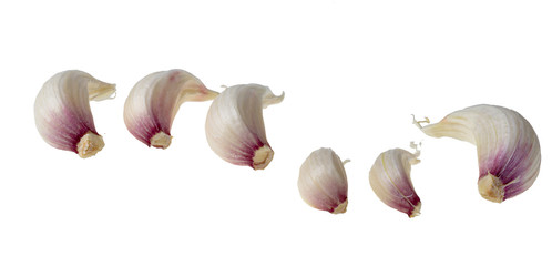 Garlic on a white background.
