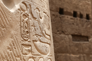 Egyptian Hieroglyphs in Luxor Temple, Luxor, Egypt