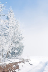 trees in hoarfrost on the edge of the forest. snow covered country road in to nowhere. heavy fog on a sunny morning in mountains. unbelievable weather conditions 