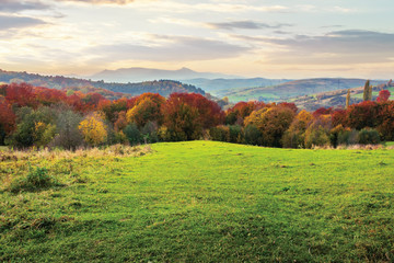 beautiful autumn countryside in mountain at dusk. trees in colorful foliage on the edge of a rural...