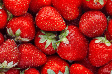 Juicy, ripe natural red strawberries without GMO. Strawberry - full frame. Close-up
