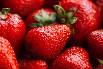 Juicy, ripe natural red strawberries without GMO. Strawberry - full frame. Close-up