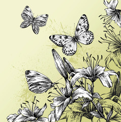 Background with blooming lilies and beautiful butterflies. Hand-drawing. Vector illustration. - 274268396