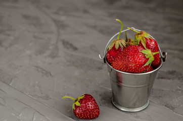 Fresh summer ripe strawberries in a small bucket on a gray concrete background