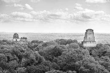 Fototapeta premium Tikal National Park Guatemala Black and White