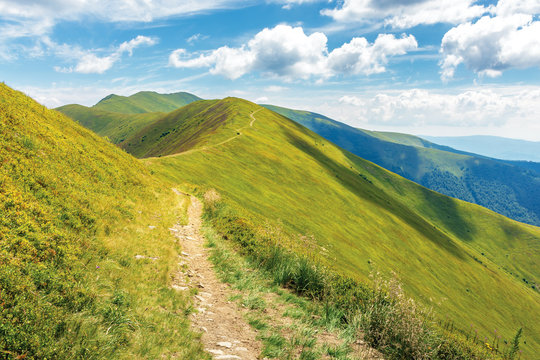 traverse path through mountain range. beautiful summer landscape at high noon. green grassy alpine hills of european blueberry. sunny weather, fluffy clouds on the azure sky. beautiful destination
