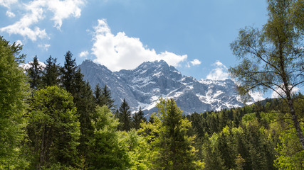 Fototapeta na wymiar Bavarian Mountains on a Sunny Day